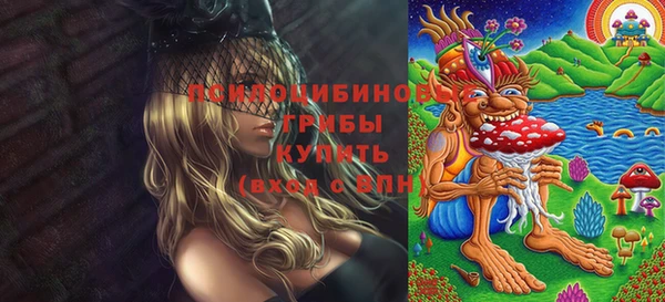 ALPHA PVP Алзамай