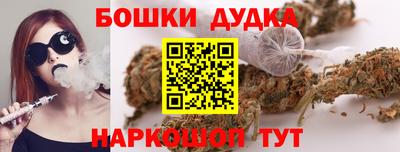 прущие крисы Новодвинск