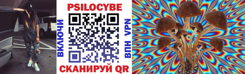 Псилоцибиновые грибы Magic Shrooms  купить наркоту  Алексеевка 