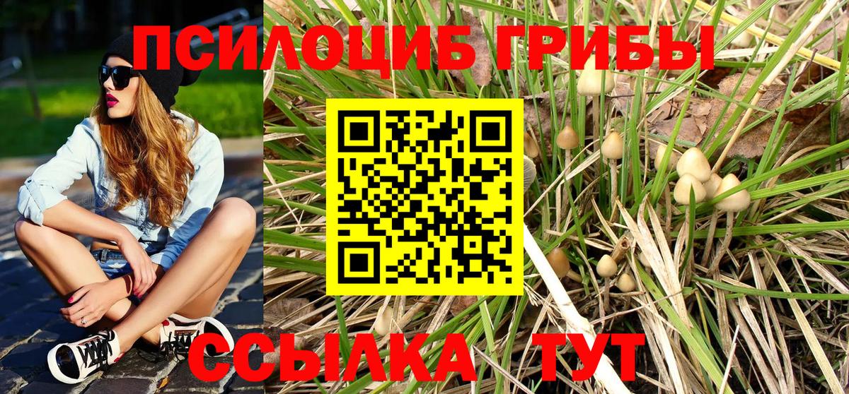 Галлюциногенные грибы Cubensis  Вход с VPN  Алексеевка 