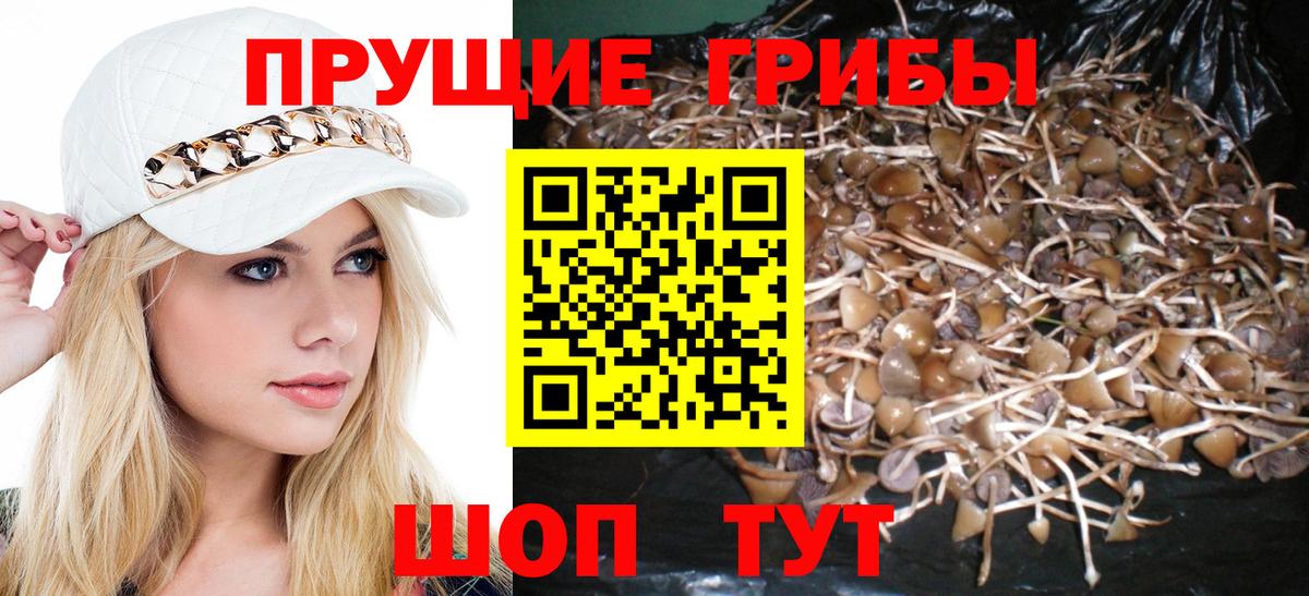 Галлюциногенные грибы GOLDEN TEACHER Алексеевка