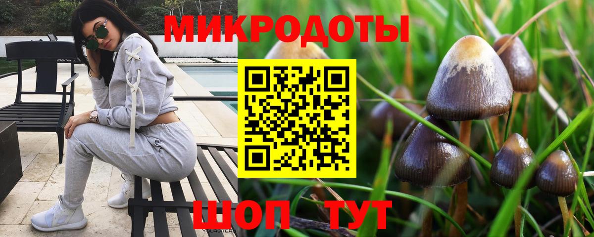 Галлюциногенные грибы MAGIC MUSHROOMS  Вход с VPN  Алексеевка 