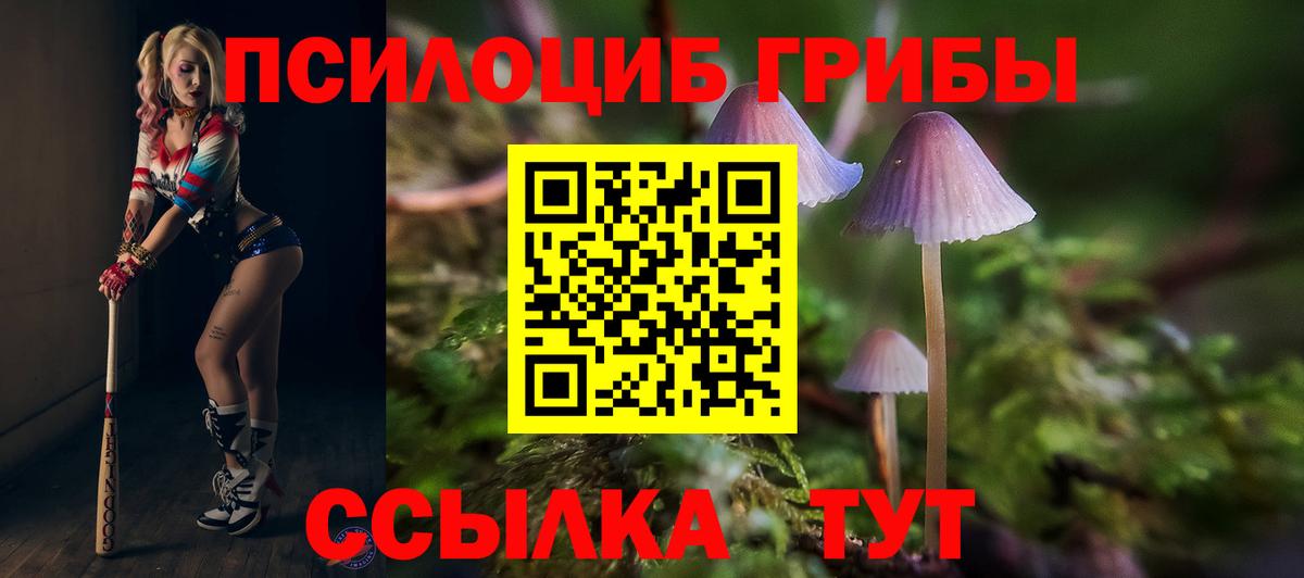 Псилоцибиновые грибы мухоморы Алексеевка